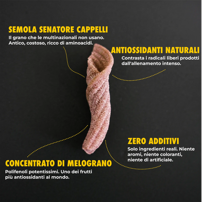 fiaccole