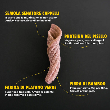 fiaccole